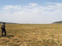 IMG_3789