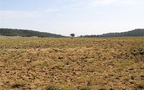 IMG_3790