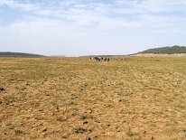 IMG_3792
