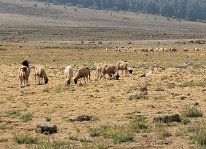 IMG_3794