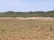IMG_3795