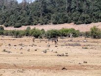 IMG_3798