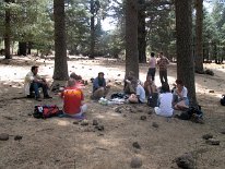 IMG_3799