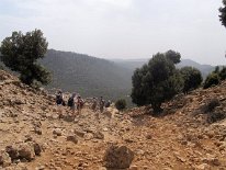IMG_3804