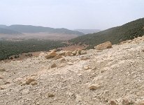IMG_3806