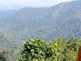 Thailande