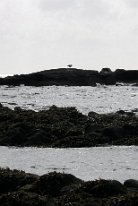 IMG5925