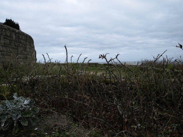 Kerhostin paysages de decembre