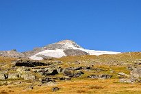 DSC_1202