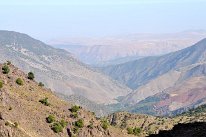 7184_DSC_9795