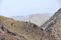 7043_DSC_9952