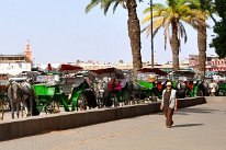 6983_DSC_0120
