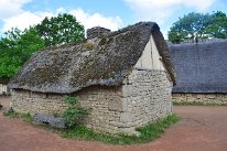 DSC1507