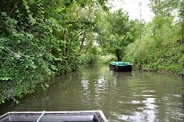 DSC1142