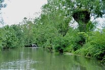 DSC1146
