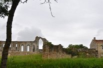 DSC1153
