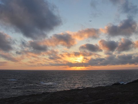 Quiberon