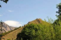 DSC_5596