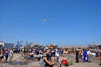 DSC_5969