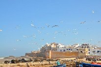 DSC_5992
