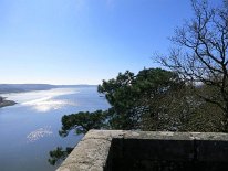 IMG_0012