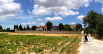 IMG_0809