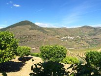 IMG_0834