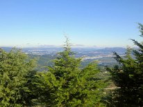 IMG_0136