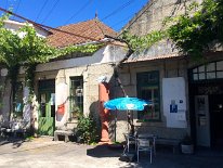 IMG_0847