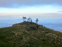 IMG_0292