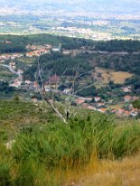 IMG_0294