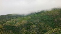 IMG_0295