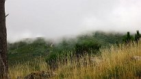 IMG_0296