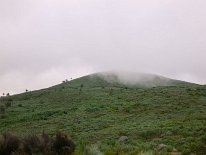 IMG_0299