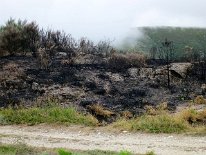 IMG_0300