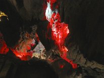 IMG_0433