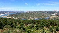 IMG_0953
