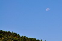 DSC_0177