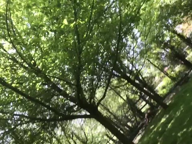 Zoo de La Boissière du Doré (Cath et Chloé)