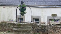 IMG_0136