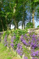 IMG_0057