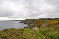 DSC_1917