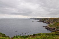DSC_1918