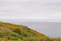 DSC_1920