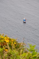 DSC_1922