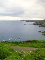 IMG_0100