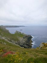 IMG_0104