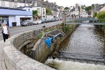 DSC_1766