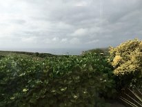 IMG_3009