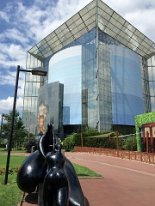 IMG_3172